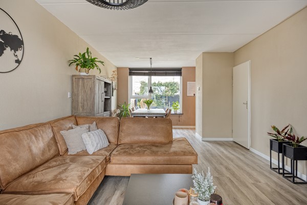 WillemZelleweg49a4462ABGoes -04.jpg